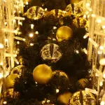 Concerti di Capodanno 2026 a Roma: piazze, artisti e biglietti